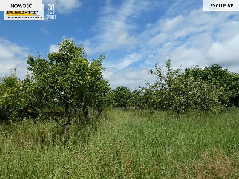 Dom -bliźniak  z  dużym ogrodem (11)