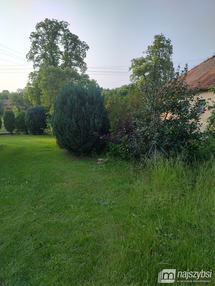 Świerzno - mieszkanie 2 pokojowe  (11)