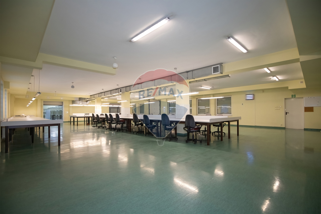 Nieruchomość inwestycyjna - Sprzedaż - Wyrzysk (4)