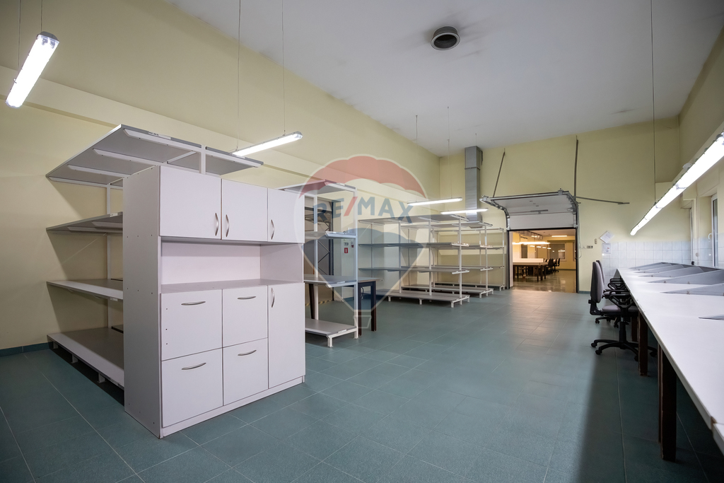 Nieruchomość inwestycyjna - Sprzedaż - Wyrzysk (14)