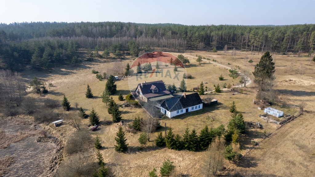 Sępolno Małe – azyl w sercu natury! (3)