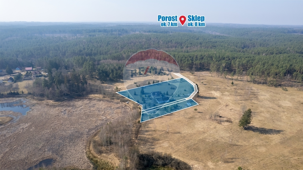 Sępolno Małe – azyl w sercu natury! (23)