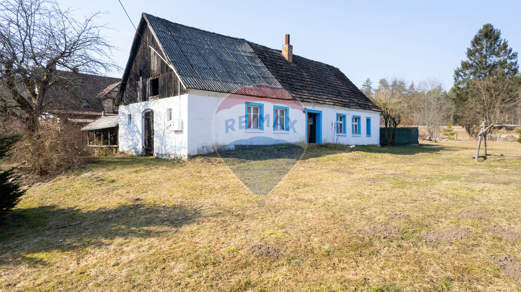 Sępolno Małe – azyl w sercu natury! (26)