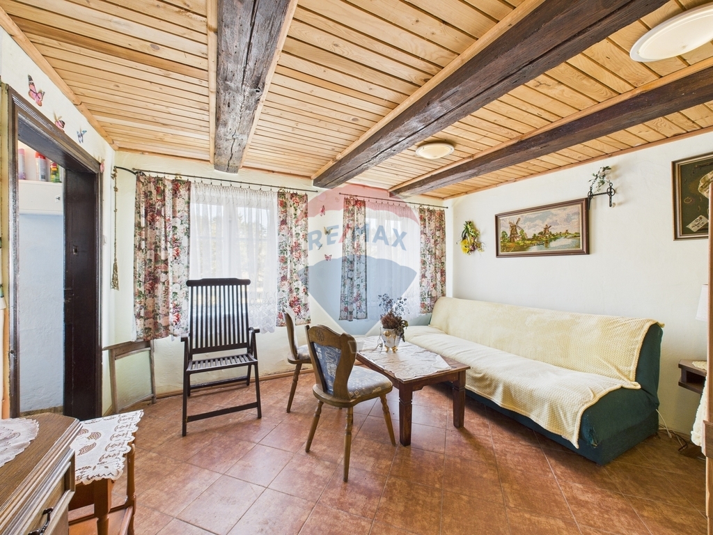 Sępolno Małe – azyl w sercu natury! (28)