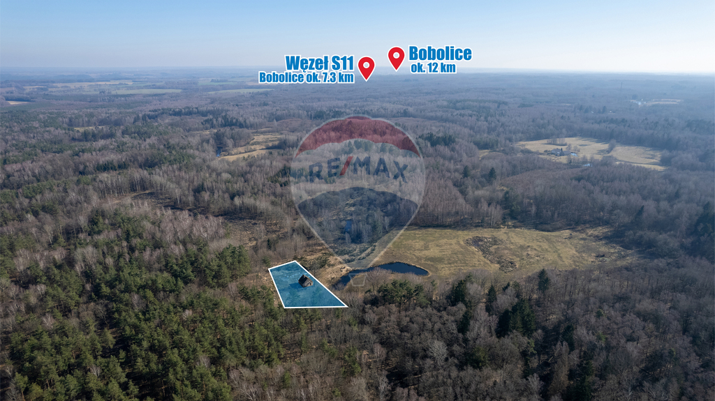 Dom w głębi lasu! (2)