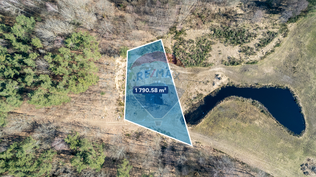 Dom w głębi lasu! (3)