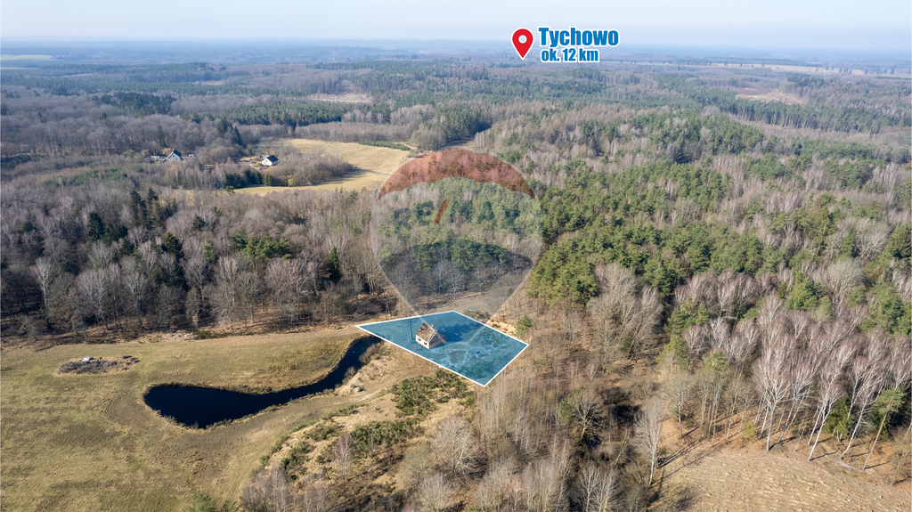 Dom w głębi lasu! (4)