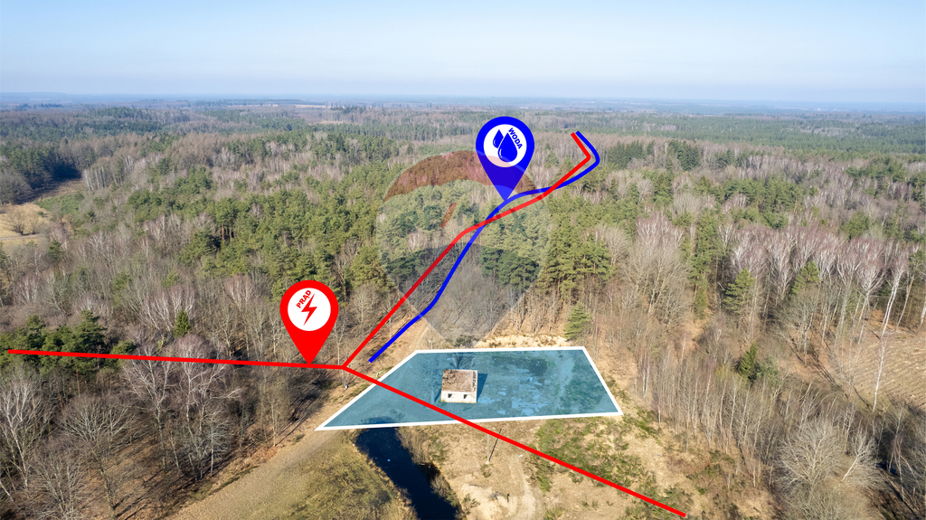 Dom w głębi lasu! (5)