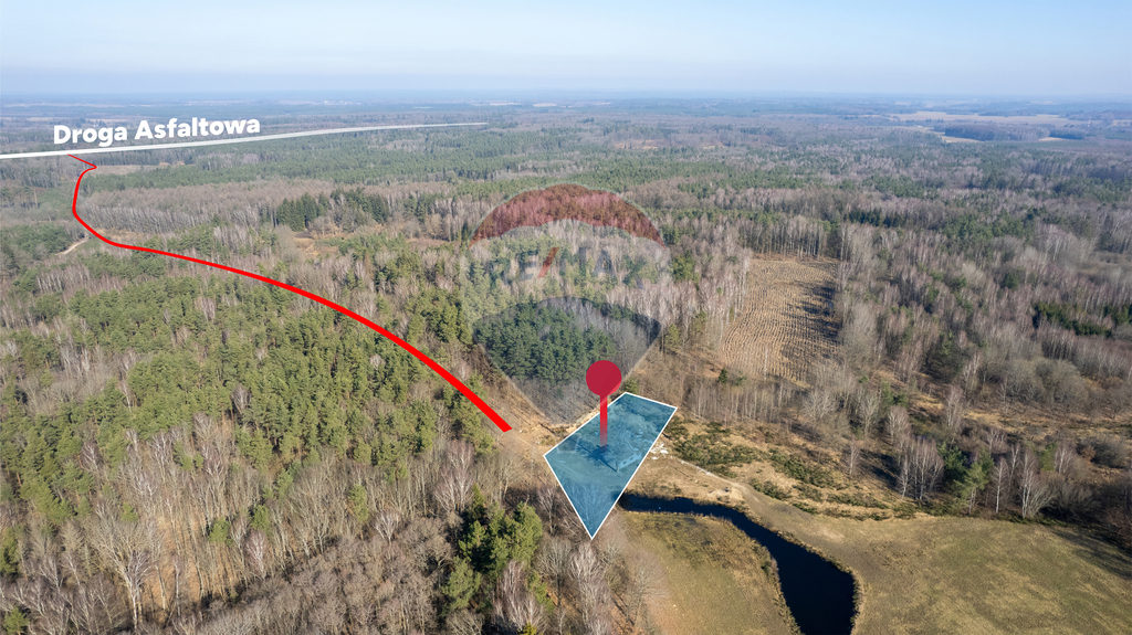 Dom w głębi lasu! (6)