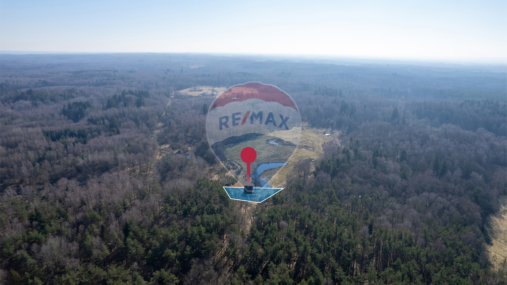 Dom w głębi lasu! (9)