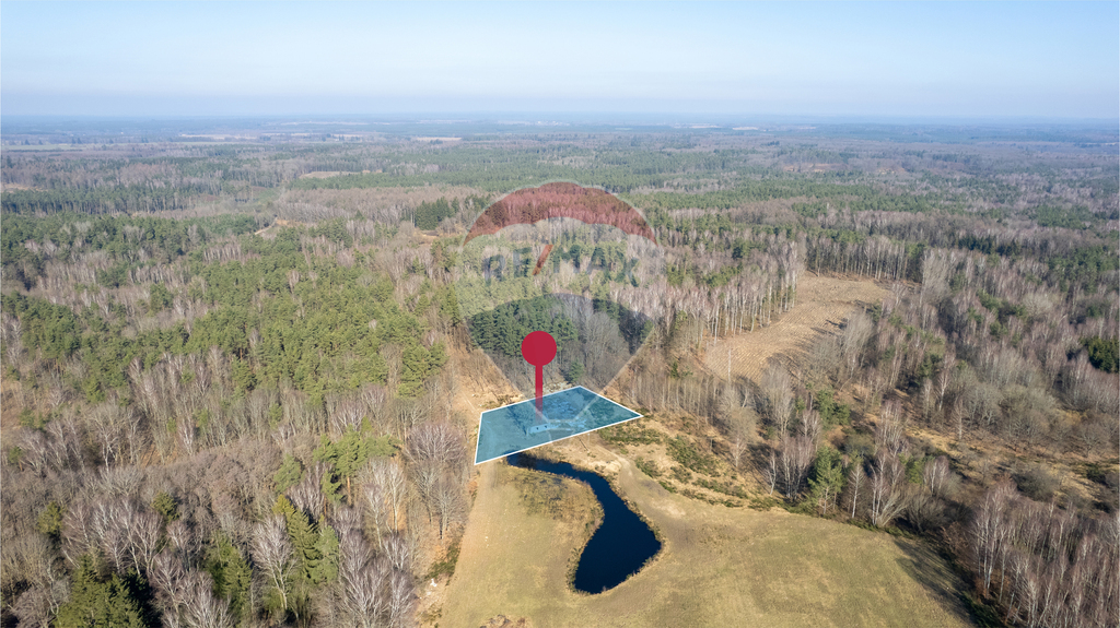 Dom w głębi lasu! (10)