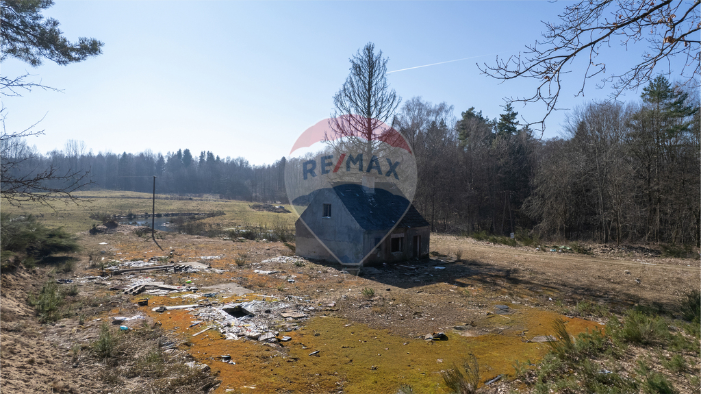 Dom w głębi lasu! (11)
