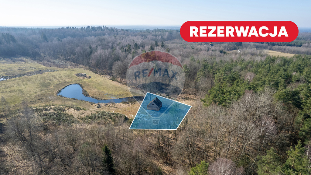 Dom w głębi lasu! (1)