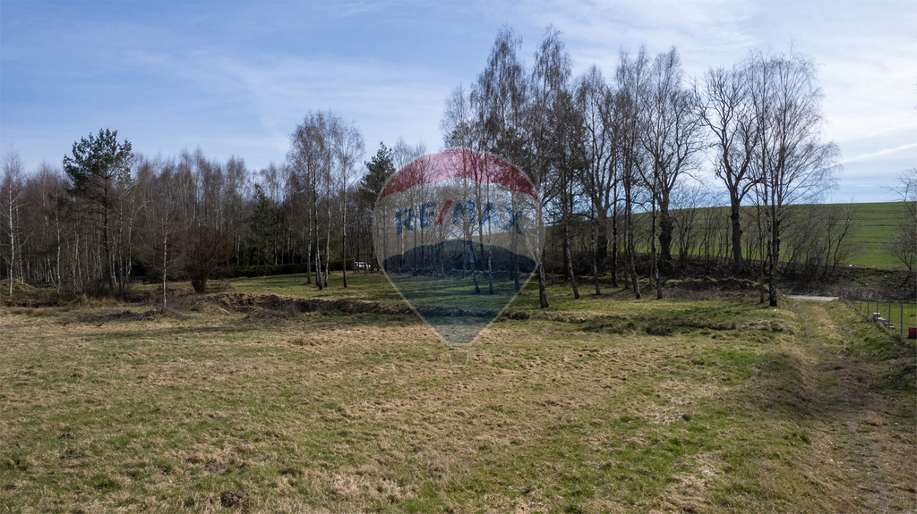 Działka inwestycyjna 9998 m² | Wyszebórz | Jeziora (8)