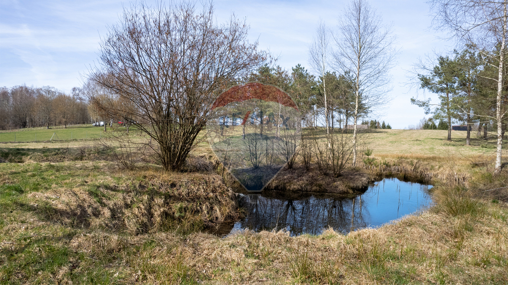 Działka inwestycyjna 9998 m² | Wyszebórz | Jeziora (10)