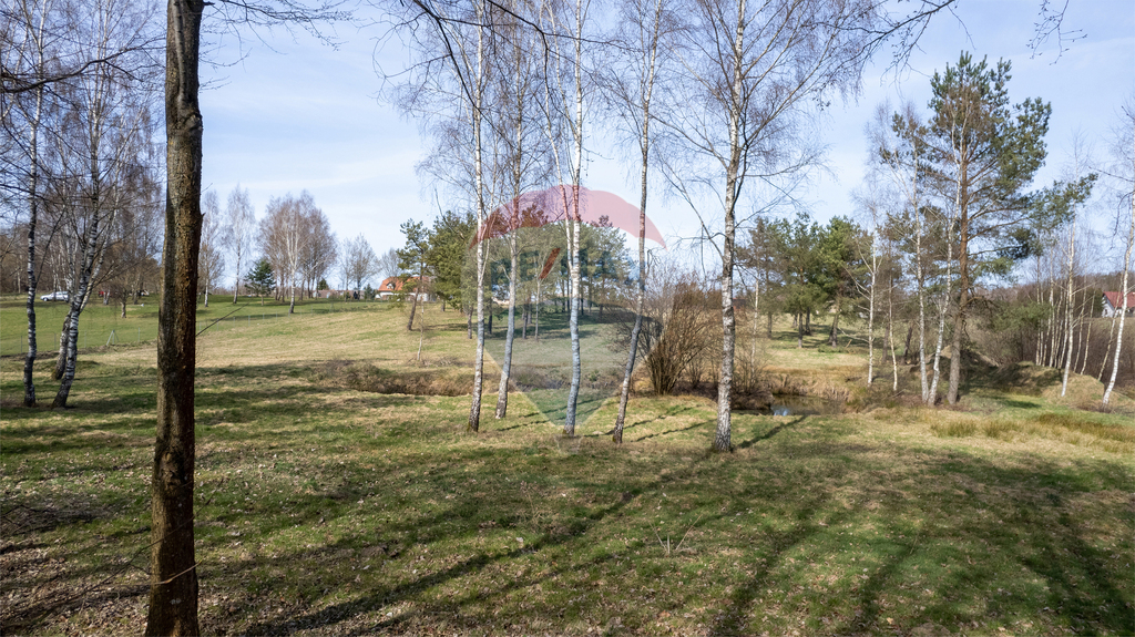 Działka inwestycyjna 9998 m² | Wyszebórz | Jeziora (13)