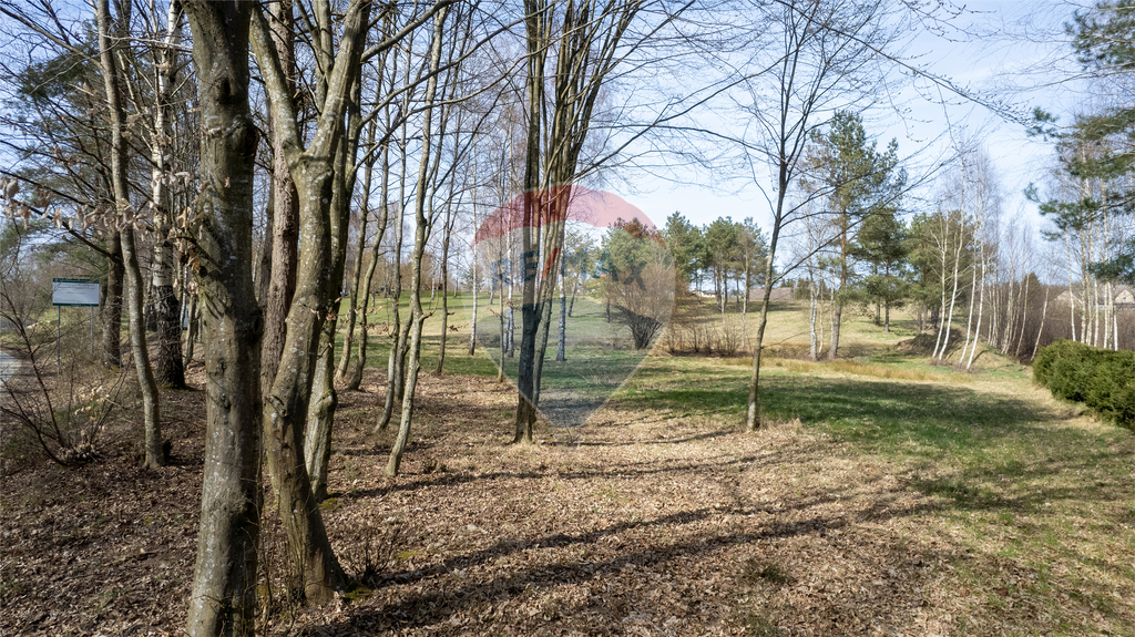 Działka inwestycyjna 9998 m² | Wyszebórz | Jeziora (14)