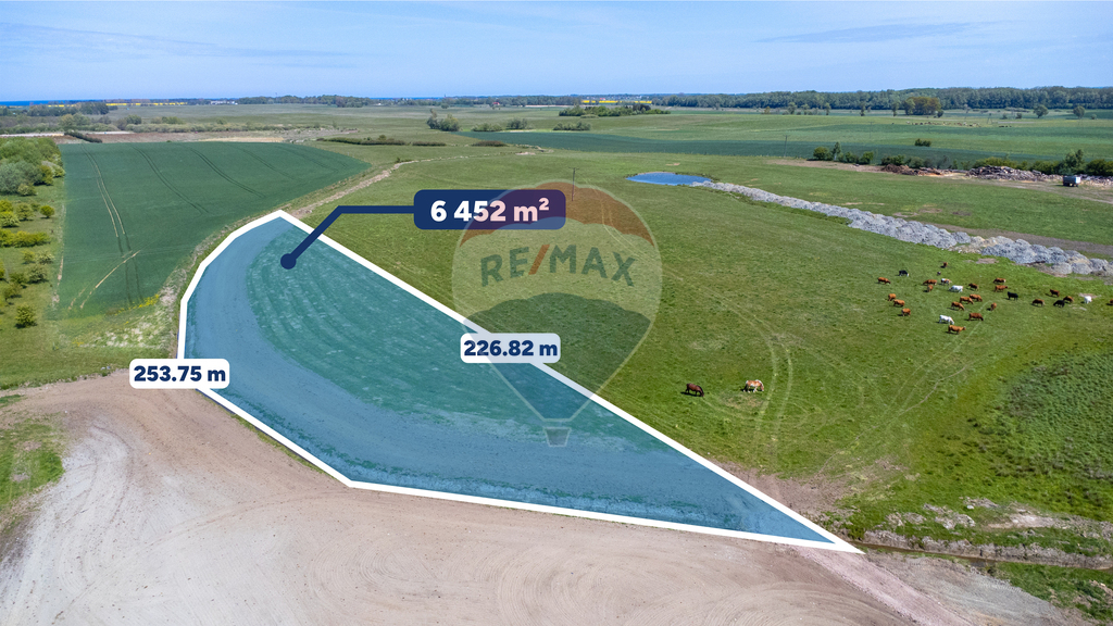 Działka na sprzedaż – 6452 m², Śmiechów k. Gąsek (4)