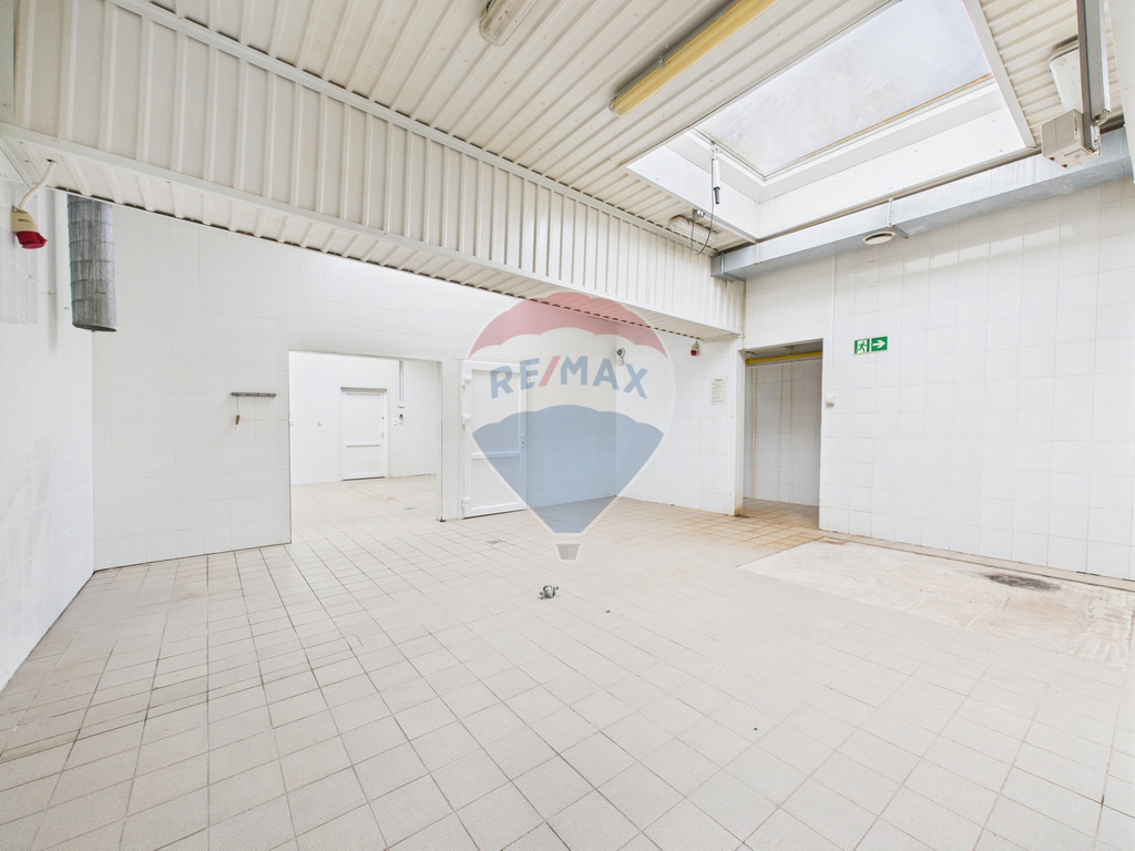 Produkuj, magazynuj, zarabiaj – lokal czeka! (18)