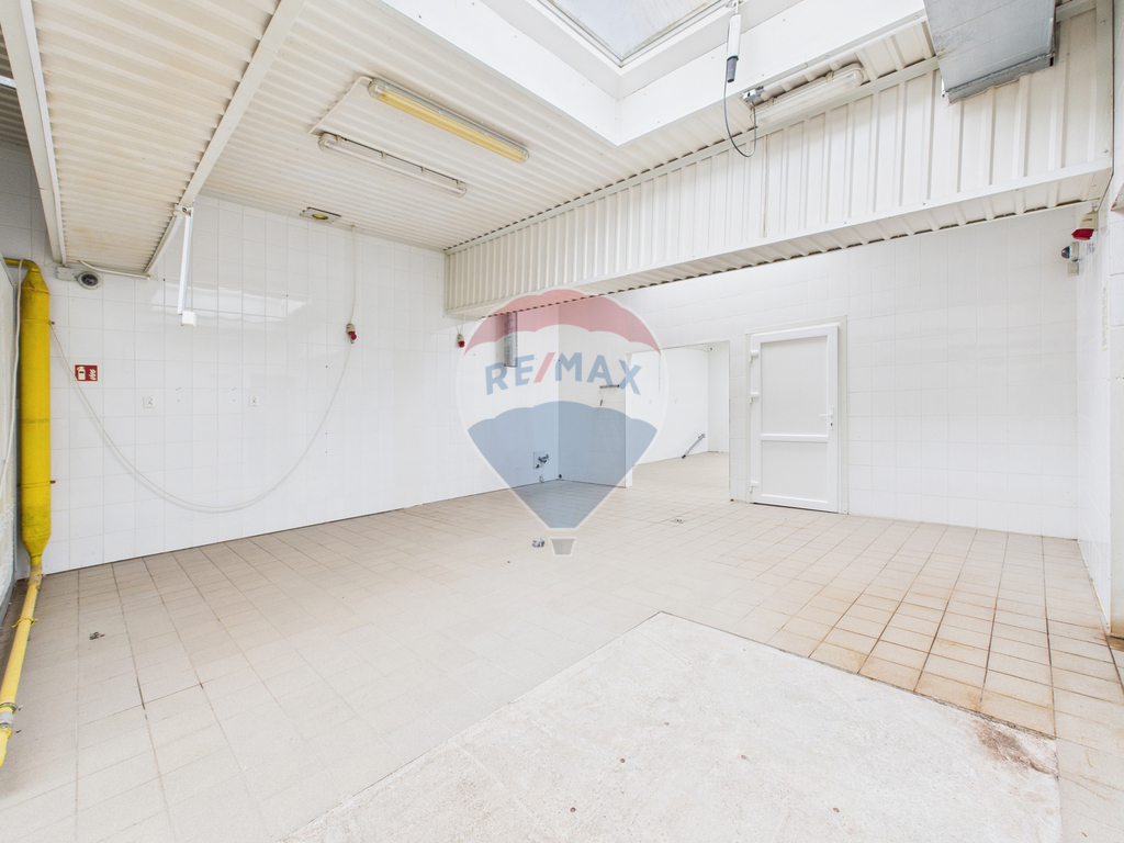 Produkuj, magazynuj, zarabiaj – lokal czeka! (19)