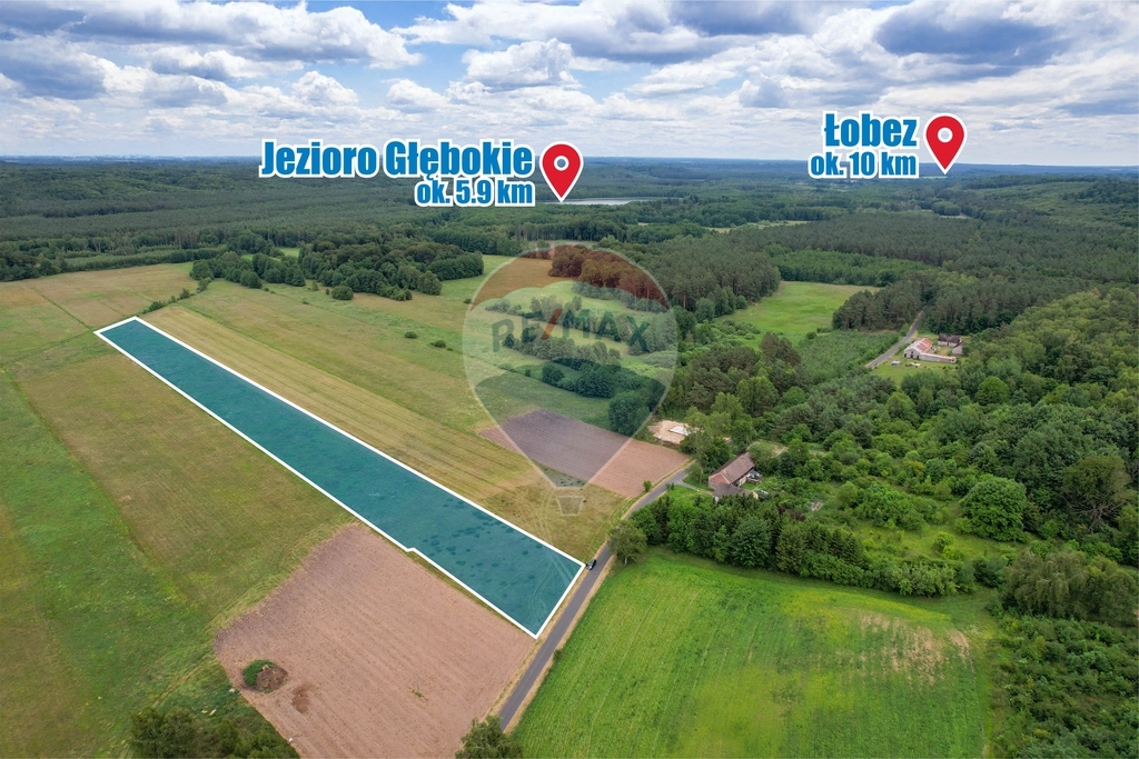 Zostań Rolnikiem! Działka 1,5 ha! (5)