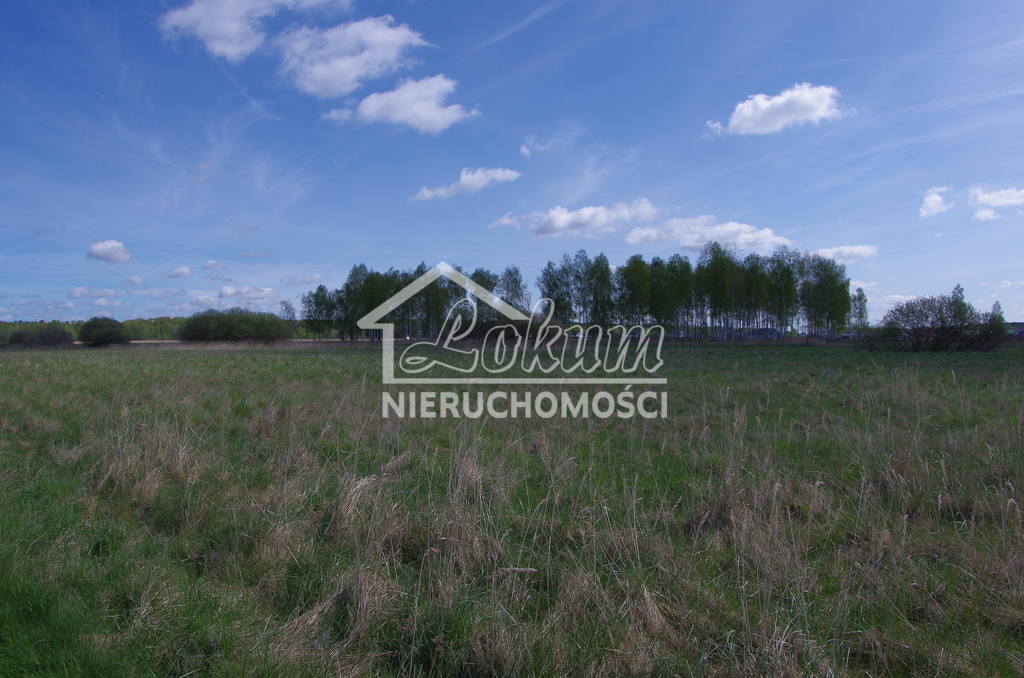 Duze działki w niskiej cenie - 50zł/m2 (2)