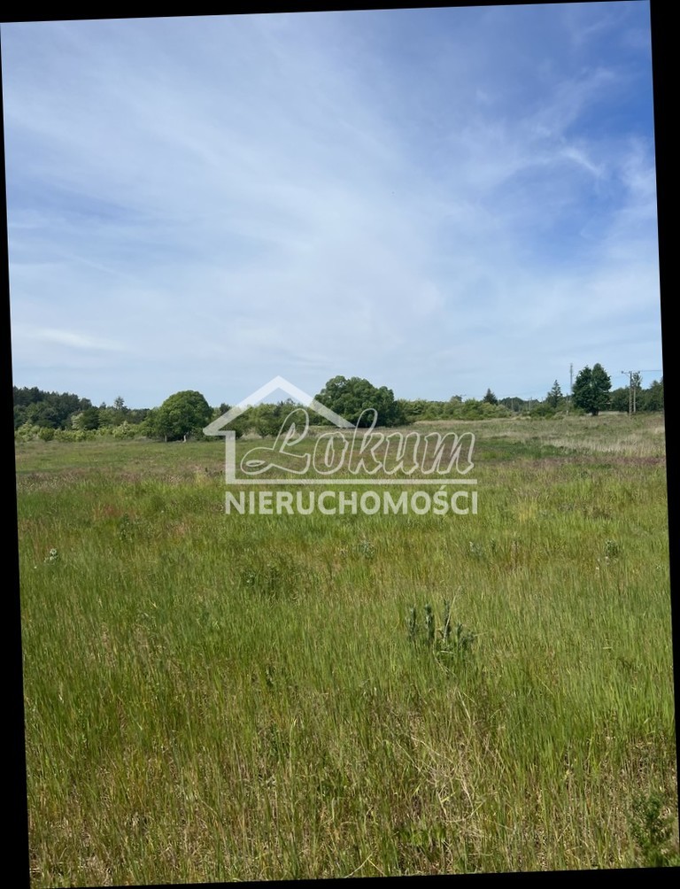 Działka w dobrej cenie !! (7)