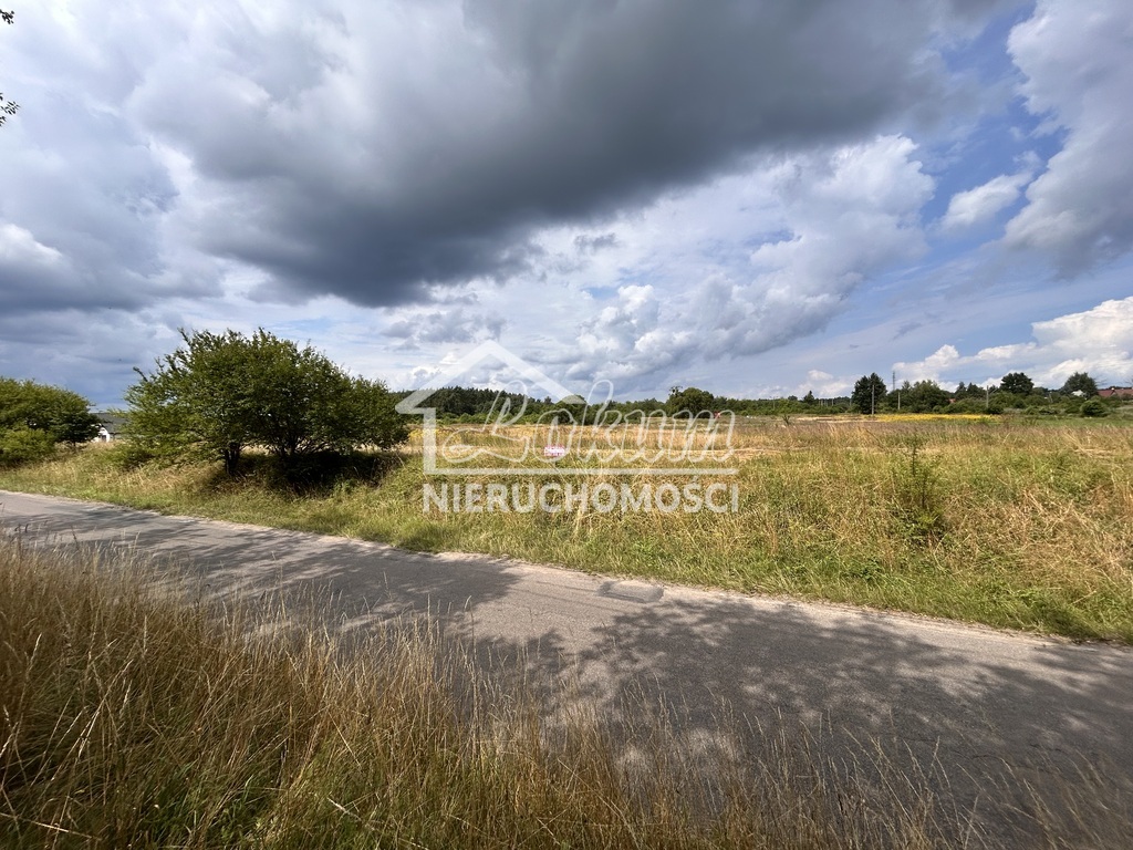 Działka w dobrej cenie !! (6)