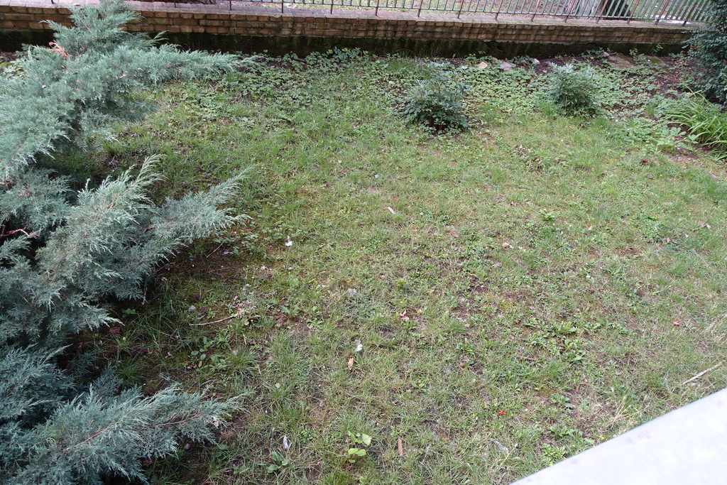 Gontyny 2 pokoje 32 m2 parter, ogródek 399 tys. (20)