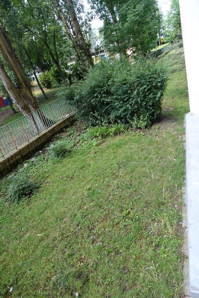 Gontyny 2 pokoje 32 m2 parter, ogródek 399 tys. (19)