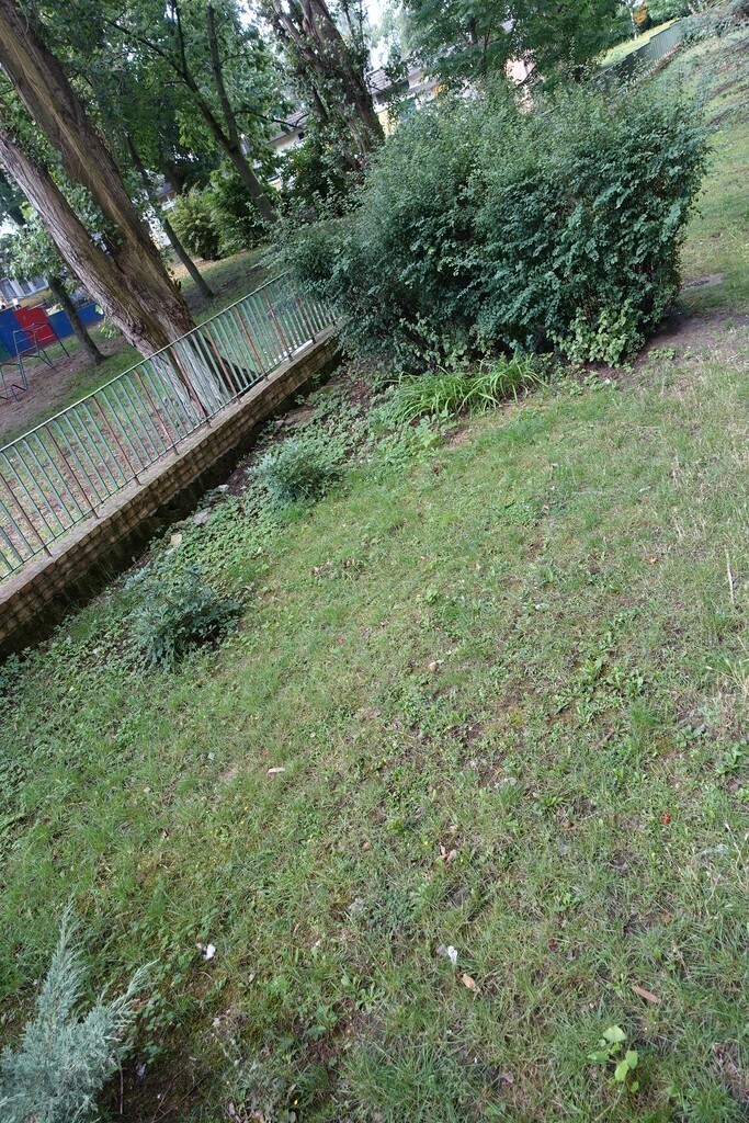 Gontyny 2 pokoje 32 m2 parter, ogródek 399 tys. (22)