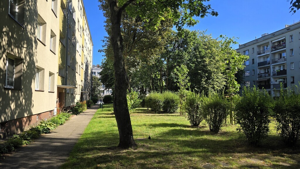 2 pokoje, balkon, parter-obok Hanza, po remoncie! (19)