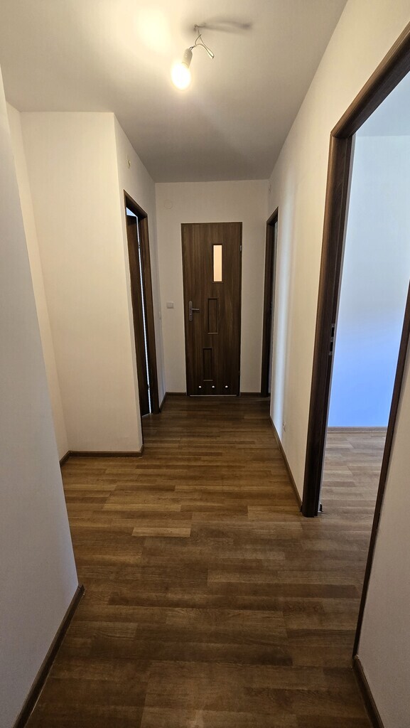 2 pokoje, balkon, parter-obok Hanza, po remoncie! (12)