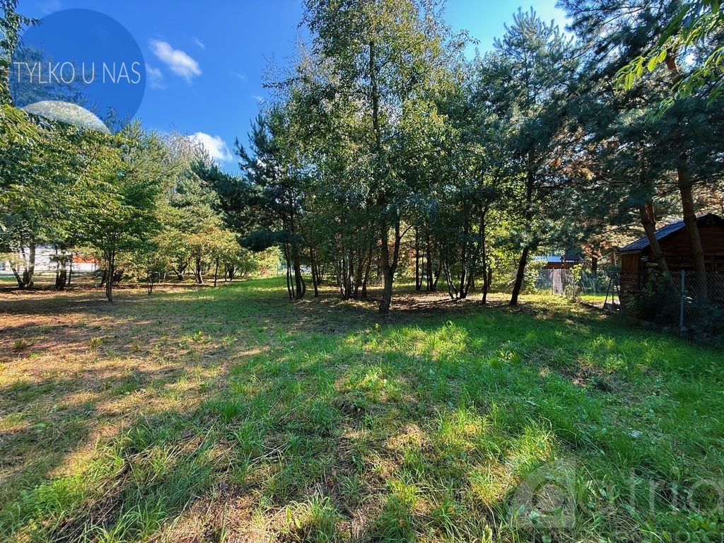 Twój dom przy lesie – działka 947 m² Kobylanka (1)