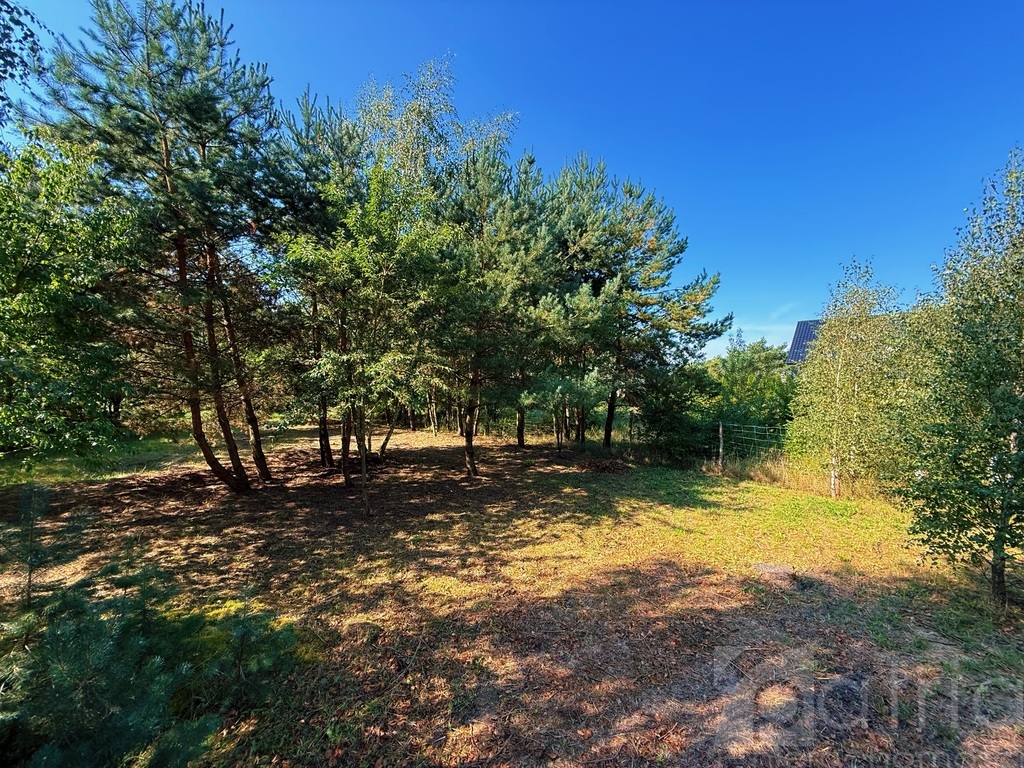 Twój dom przy lesie – działka 947 m² Kobylanka (3)
