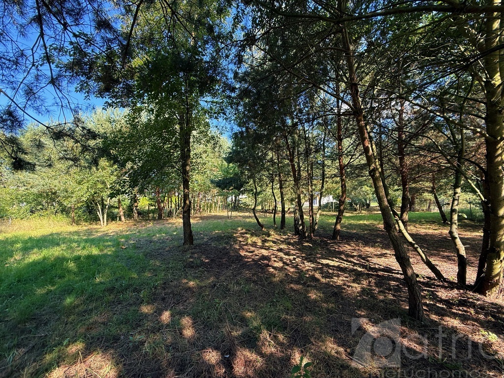 Twój dom przy lesie – działka 947 m² Kobylanka (4)