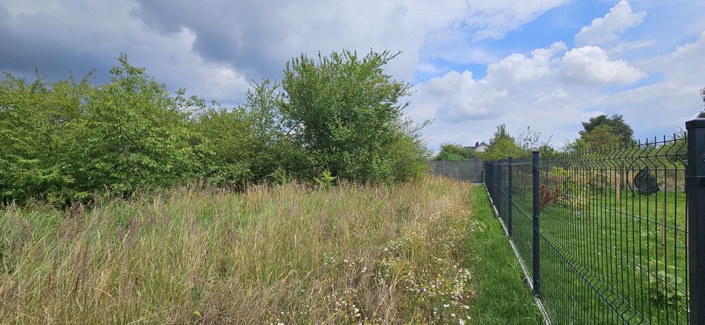 DZIAŁKA POD BUDOWĘ DOMU WŚRÓD ZIELENI (5)