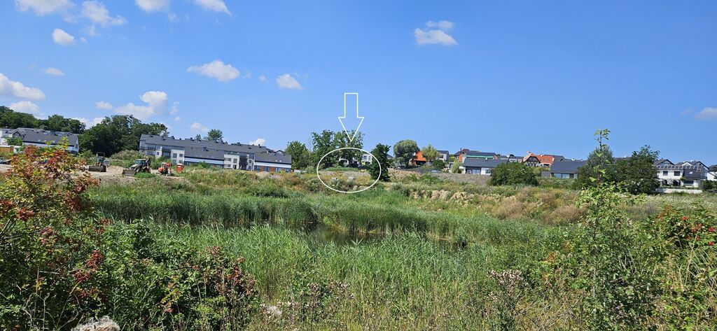 WIDOK, KTÓRY ZACHWYCA KAŻDEGO DNIA (4)