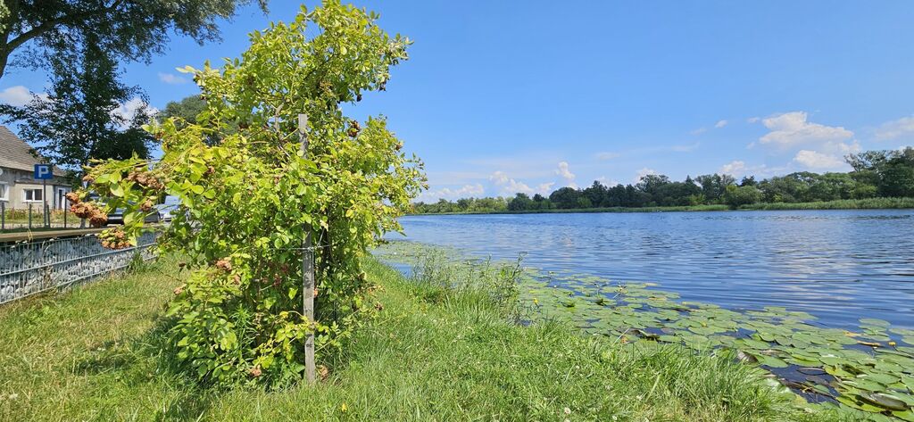 WIDOK, KTÓRY ZACHWYCA KAŻDEGO DNIA (8)