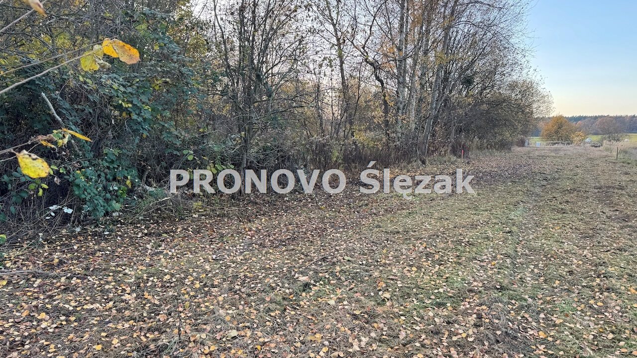 Rościsławice.Działka 1266 m².8 min od Obornik Śl. (4)
