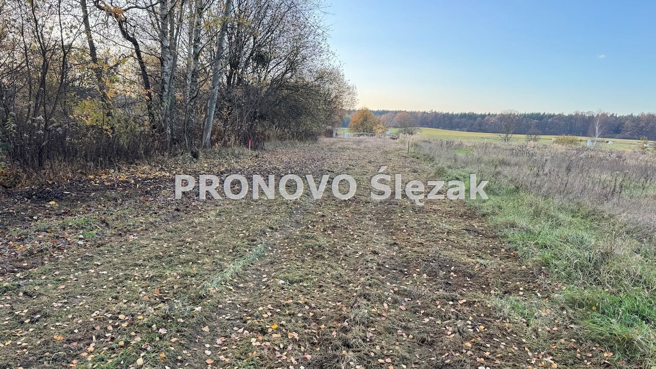 Rościsławice.Działka 1266 m².8 min od Obornik Śl. (5)