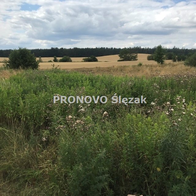 Rościsławice.Działka 1266 m².8 min od Obornik Śl. (7)