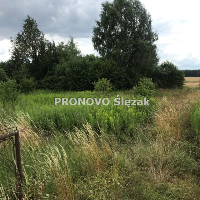 Rościsławice.Działka 1266 m².8 min od Obornik Śl. (8)