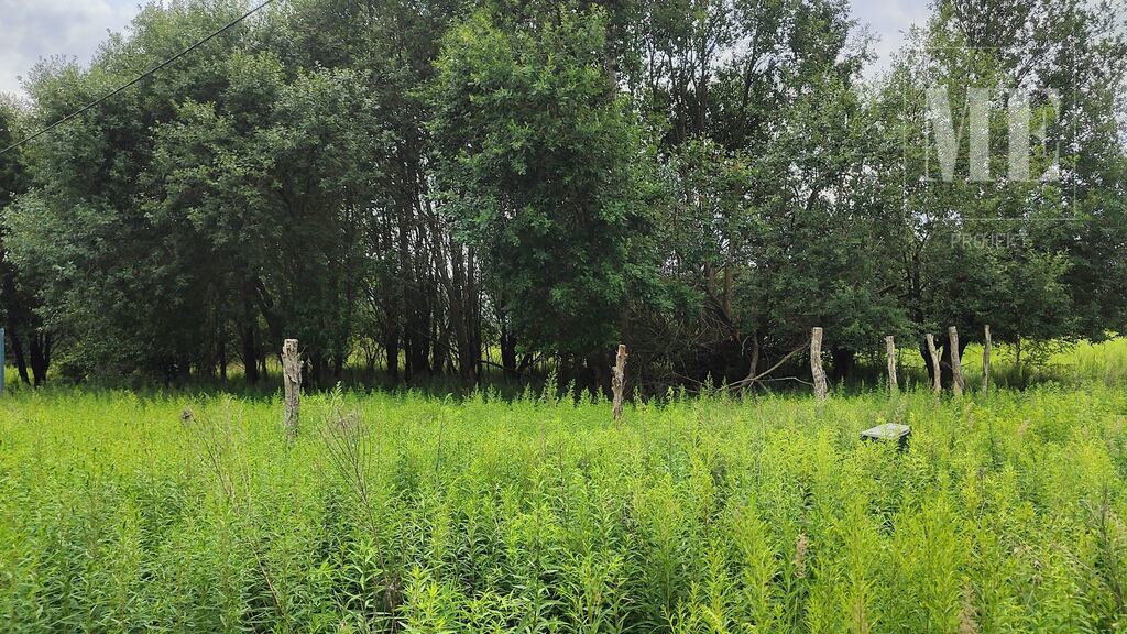 Działka 1 671 m² – Żółwia Błoć, gm. Goleniów (2)