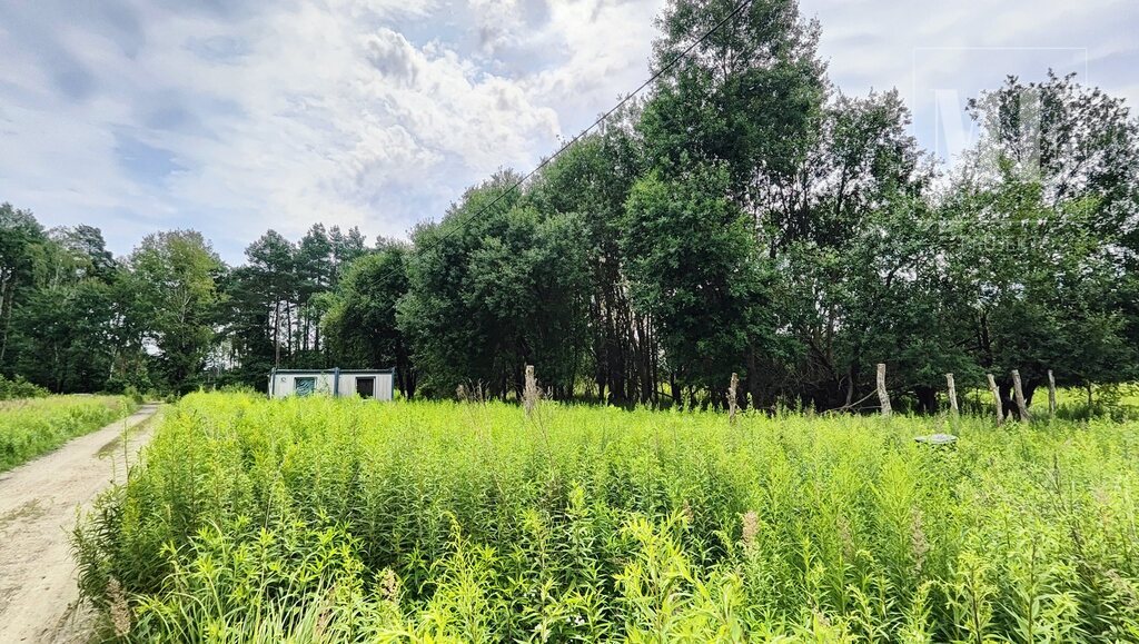 Działka 1 671 m² – Żółwia Błoć, gm. Goleniów (3)