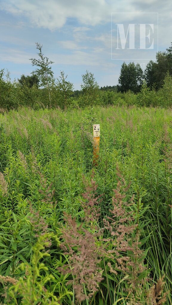 Działka 1 671 m² – Żółwia Błoć, gm. Goleniów (5)