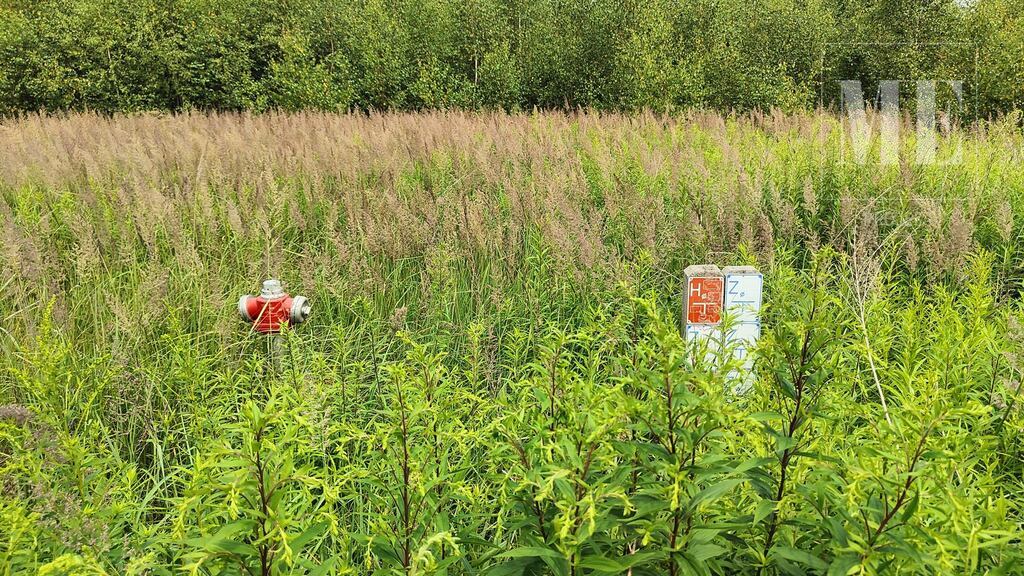 Działka 1 671 m² – Żółwia Błoć, gm. Goleniów (6)