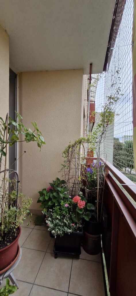 Mieszkanie trzypokojowe z balkonem 59,40 mkw. (13)