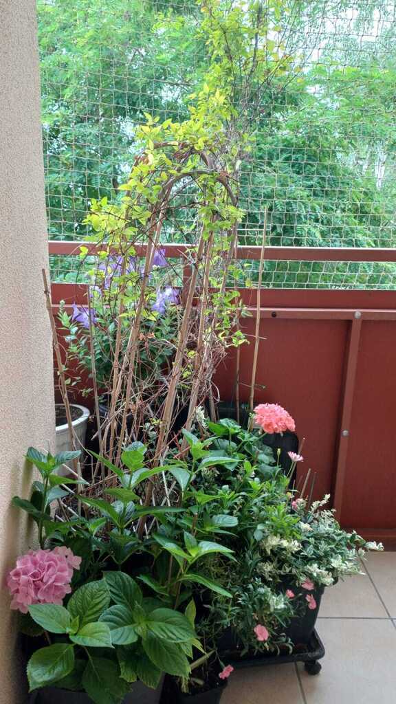 Mieszkanie trzypokojowe z balkonem 59,40 mkw. (12)