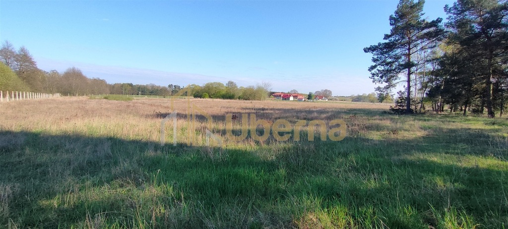 Stawno pow.kamieński Działka Inwestycyjna (1)